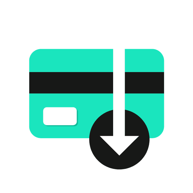 Payment with BirKart